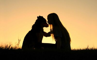 When the Bonds Are Broken: Pet Loss Coping Tips for Clients & Veterinary Teams